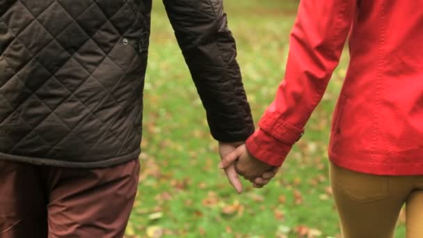Caucasian couple walking hand in hand - Záběry, video