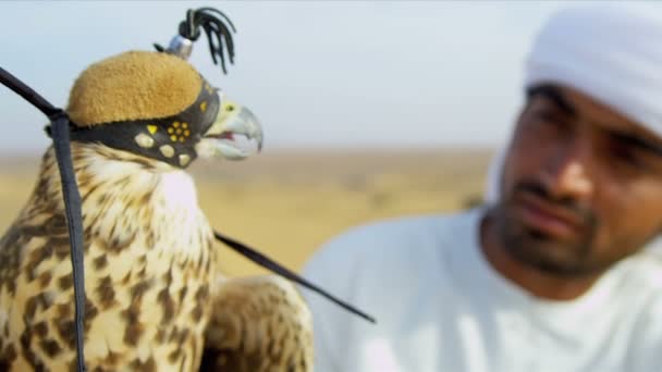 Pták v sokolnictví kapuce s mužské vlastníkem - Záběry, video