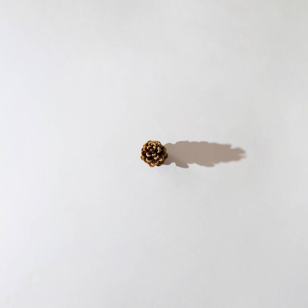 pine cone in the middle of the white background.season flat lay with autumn shadow.winter concept minimal idea - Foto, afbeelding