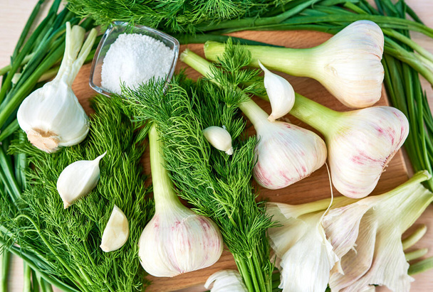 A few heads and cloves of young fresh garlic lie on a cutting board, surrounded by dill and green onions, and next is a salt shaker. Top view - Photo, Image