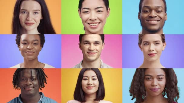 Verscheidenheid van mensen. Mozaïek collage van gelukkig multi-etnische mannen en vrouwen glimlachen om de camera over kleurrijke achtergrond - Video