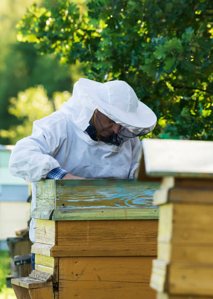Apicultor está trabajando en granja de abejas. - Foto, Imagen