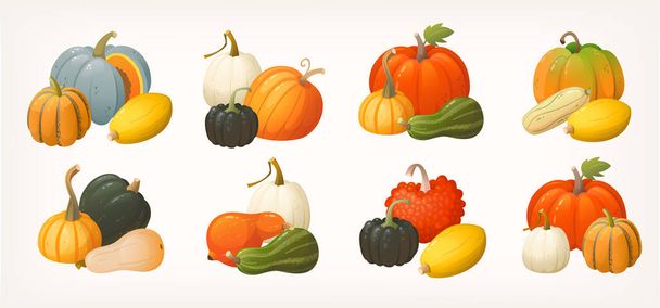 Set of pumpkins gourds and squashes icons arranged in groups. Vegetables illustrations for autumn markets and fairs labels posters and invitations. Isolated colourful vector images. - Vector, Image