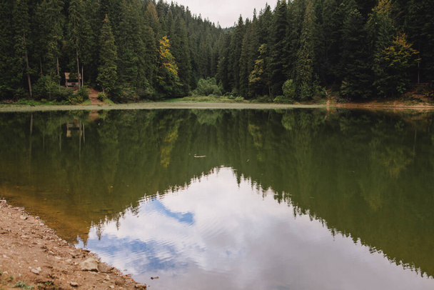 Ukrainan Karpaattien järven synevyr syksyllä aika kopioida tilaa - Valokuva, kuva
