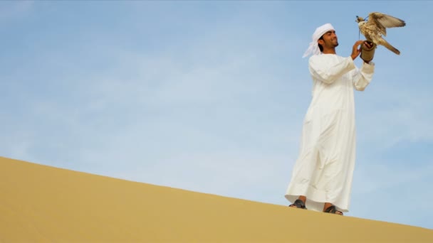 Arabische man met opgeleide falcon - Video