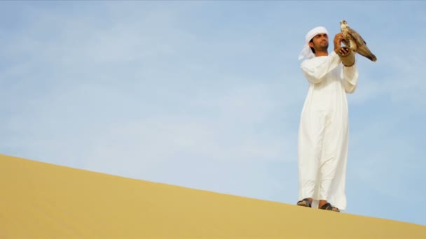 Arab ember képzett Sólyom - Felvétel, videó