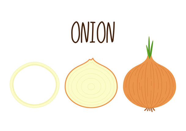 Cartoon brown or yellow onions set. Whole unpeeled, half, onion rings and slices. - Vector, Image