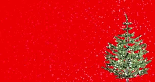 luces decoraron el árbol de Navidad con luces mágicas sobre un fondo rojo con espacio de texto para el logotipo o la colocación de copias. Tarjeta de felicitación de regalo de Navidad abstracta animada. 4k 3d render - Metraje, vídeo