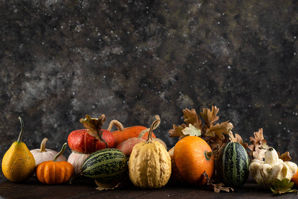 Various decorative pumpkins and dry leaves. - Photo, Image