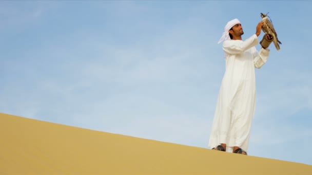 Emiraty człowiek z wyszkolonych Sokół - Materiał filmowy, wideo