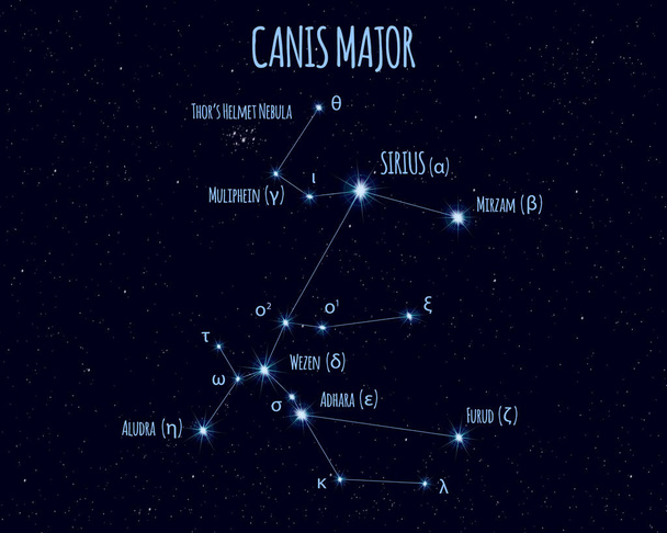 Canis Major (The Great Dog) constellation, vector illustration with the names of basic stars against the starry sky - Vector, Image
