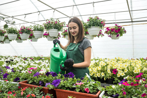 happy  owner of a flower farm watering and taking care flowers. Everyday hard work for  flower producer in hothouse - Фото, зображення
