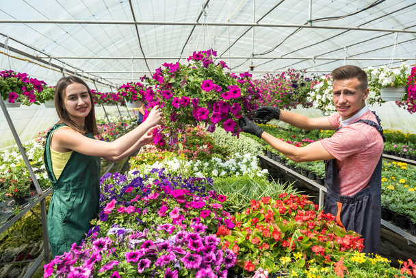 Dwóch młodych kwiaciarni pracuje z kwiatami w przemysłowej szklarni - Zdjęcie, obraz