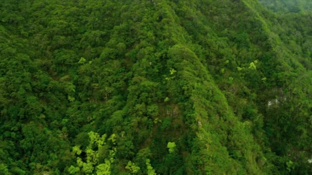 vulkáni sziklák egy gazdag trópusi növényzet, Hawaii - Felvétel, videó