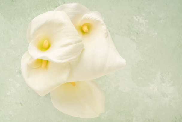 Nahaufnahme von weißen Calla-Lilienblüten auf sanftem grünen Hintergrund mit Kopierraum - Foto, Bild