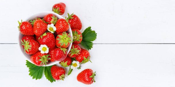 Strawberries berries fruits strawberry berry fruit copyspace copy space panorama in a bowl summer - Foto, immagini