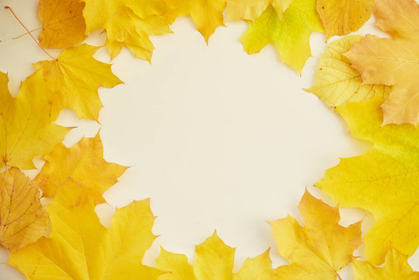 黄色のカエデの葉。美しい秋の黄色の背景。最上階だ。トレンドのミニマルな秋の背景。コピースペース。高品質の写真 - 写真・画像