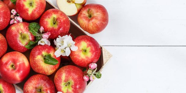 Omenat hedelmät punainen omena hedelmiä lehdet ylhäältä copyspace kopioi tilaa puinen aluksella panoraama ylhäältä - Valokuva, kuva