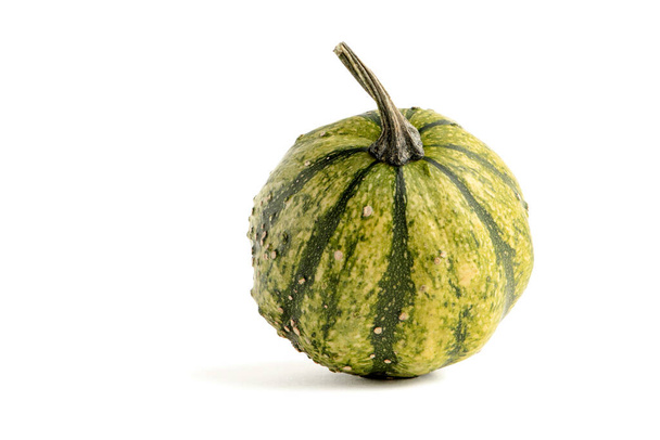 Decorative pumpkin of green color isolate on a white background - Foto, afbeelding