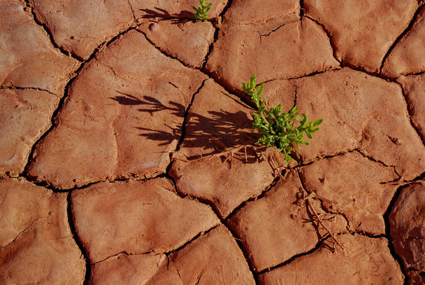 Arid talaj az Atacama sivatagban, Chile - Fotó, kép