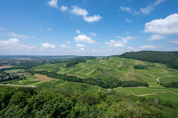 ワイン村の近くの緑豊かな丘陵地のブドウ畑のパノラマビューシャトー・シャロン地域フランスのジュラ - 写真・画像