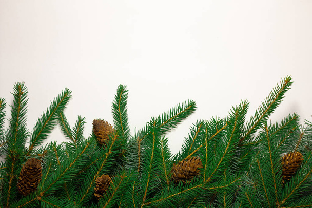 Kreativní novoroční hranice z větví vánočních stromků. Místo pro text. Vánoční pozadí v retro stylu. Nový rok a vánoční přání. - Fotografie, Obrázek