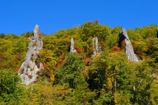 Herbstblätter an steilen Klippen - Foto, Bild
