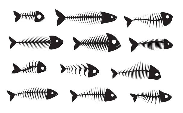 Kalan luun siluetti kuvakkeet, musta eristetty kalanluun vektoriluurankoja. Sillin, barrakudan tai piraijan kuolleet kalanluut, pääkallo ja selkäranka, meri- ja merenkulkualan symbolit - Vektori, kuva