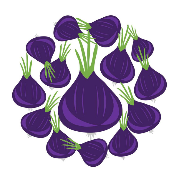 Red onions in circle. Vector flat design template. Background of food, farm, gardening or horticulture. - Вектор, зображення