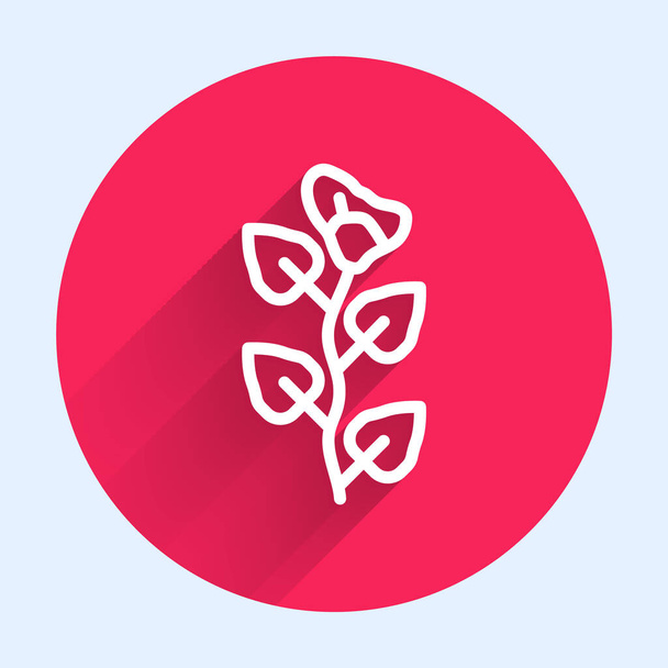 White line Ivy branch icon isolated with long shadow. Branch with leaves. Red circle button. Vector - Vector, Image