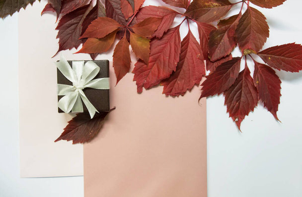 Red autumn leaves on a light background. background white, pink, lilac. gift brown box with a white bow. Bright autumn leaves abstraction. gift on autumn background. background for autumn theme.  - Foto, imagen