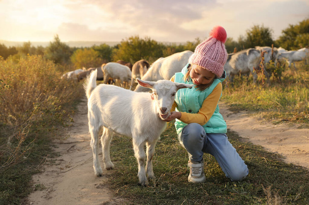 Çiftlik hayvanı. Otlakta keçi okşayan sevimli küçük kız. - Fotoğraf, Görsel