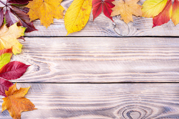Autumn colorful leaves on a wooden background with space for text. - 写真・画像