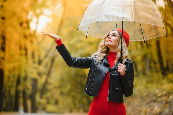 a girl walks in the autumn park under an umbrella - Photo, Image