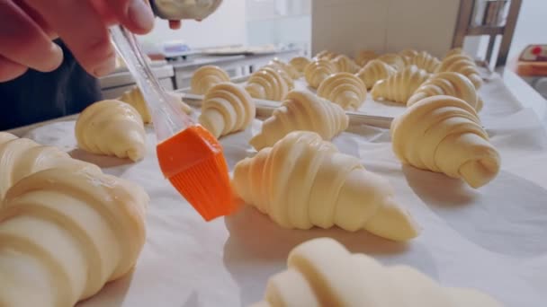 Baker greases beautiful raw croissants with egg yolk before baking. Baking process. - Footage, Video
