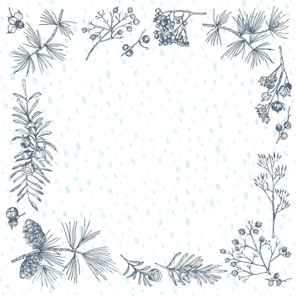 Hand-drawn sketch christmas plants frame with pine cones, berries, branches, leaves in engraving style. Vintage herbal border. Xmas retro decor Wedding graphic Hello, winter. Vector. - Vector, Image