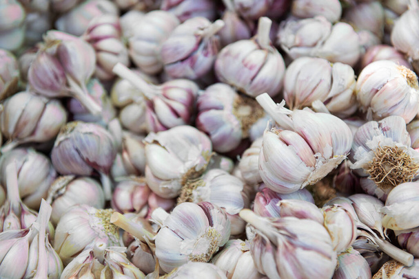Garlic solds on outdoor market. Farm seasonal spanish fruits and vegetables stock - Valokuva, kuva