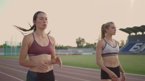 3 naisten juoksijat valmistautua pitkän matkan kisaan stadionilla auringonlaskun hidastettuna - Materiaali, video