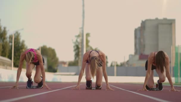 Stadyumun başlama çizgisinde üç bayan atlet koşuya hazırlanıyor ve koşuyor.. - Video, Çekim