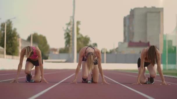 Drie vrouwelijke atleten en watersporters starten de race in het stadion in hardloopblokken op een sprintafstand. Vrouwelijke atleten en hardlopers in het stadion - Video