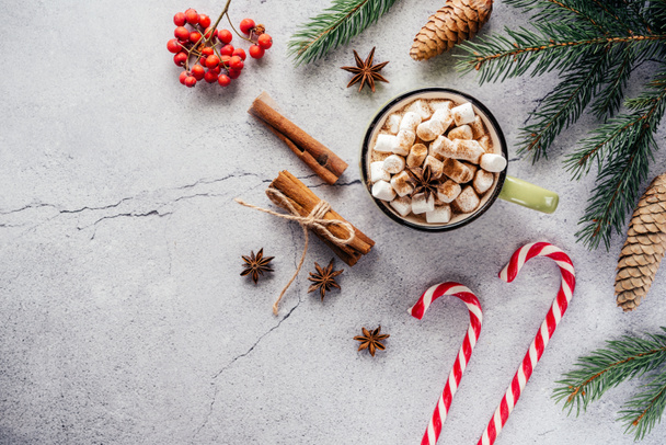 Noël disposition créative de vacances avec chocolat chaud guimauve, pin, baies rouges et cônes de pin - Photo, image