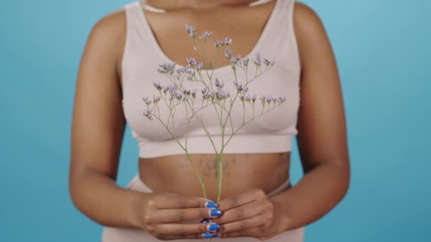 Midsection tiro de irreconhecível plus size afro-americano fêmea em roupa interior segurando bela flor selvagem em pé no fundo azul - Filmagem, Vídeo
