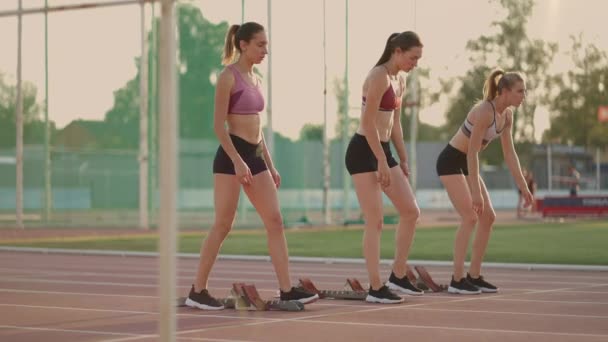 Három női atléta és vízi sportoló kezdi a versenyt a stadionban futószőnyegekkel sprinttávolságban. Nők nyomon követése és nyomon követése és fájl futók fut a stadionban - Felvétel, videó