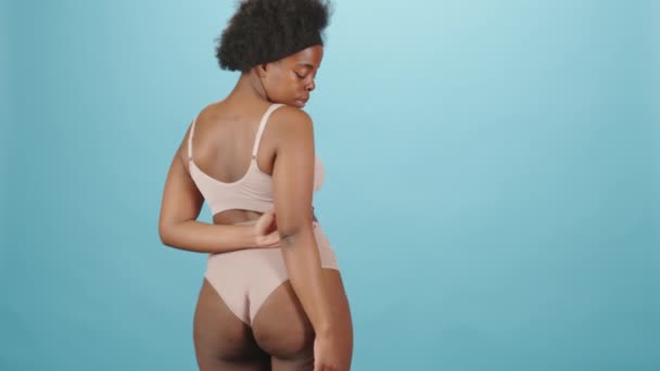 Πίσω όψη μέσο πορτρέτο των νέων συν μέγεθος Αφροαμερικανός γυναίκα σε εσώρουχα ποζάρουν για την κάμερα δείχνει το φυσικό υγιές σώμα της στέκεται σε απομονωμένο μπλε φόντο - Πλάνα, βίντεο