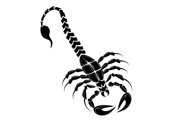 Черный скорпион изолирован на белом фоне. Векторный знак скорпиона - Вектор,изображение