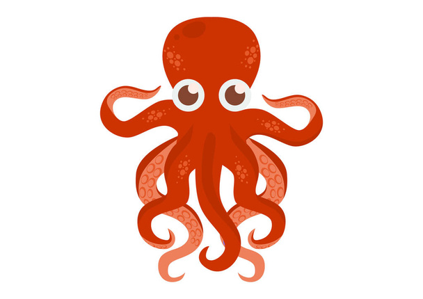 Cute Octopus Cartoon Vector Graphics. Squid on white background - Vetor, Imagem