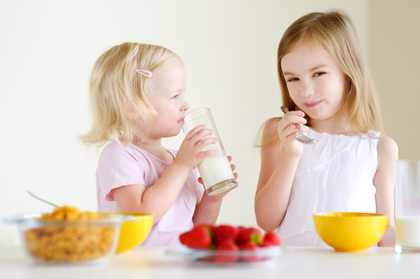 Sisters eating cereal with milk - Фото, изображение