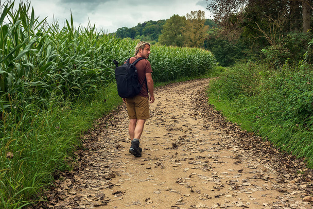El hombre de cabello rubio y barba de barba camina por un sendero entre un maizal y un bosque en el campo bajo un oscuro cielo nublado. Vista trasera. - Foto, Imagen