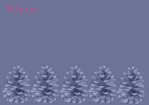 Winter is here wallpaper with pinecone - Photo, Image