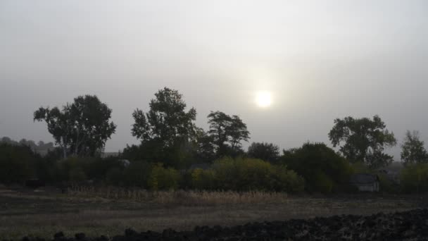 Foggy champ du matin dans le village où il y a une église. - Séquence, vidéo